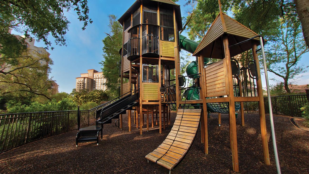 Tree House Climbing Adventure